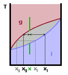 T(x) phase diagram: law of the lever.