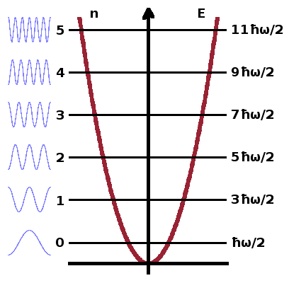 Energy levels of the harmonic oscillator.