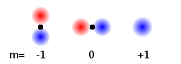 Fig.: The magnetic quantum number m determines the orientation of the probability cloud.