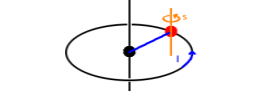 The spin quantum numbers distinguish the two electrons that can fit into an (n,l,m) state.