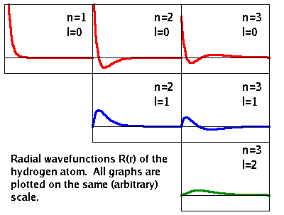 The radial eigenfunctions of the hydrogen atom.