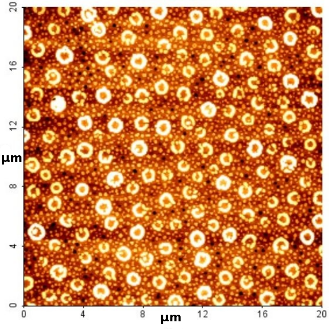 Experimental data: counts vs. horizontal and vertical position.