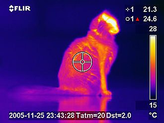 IR image of a cat.