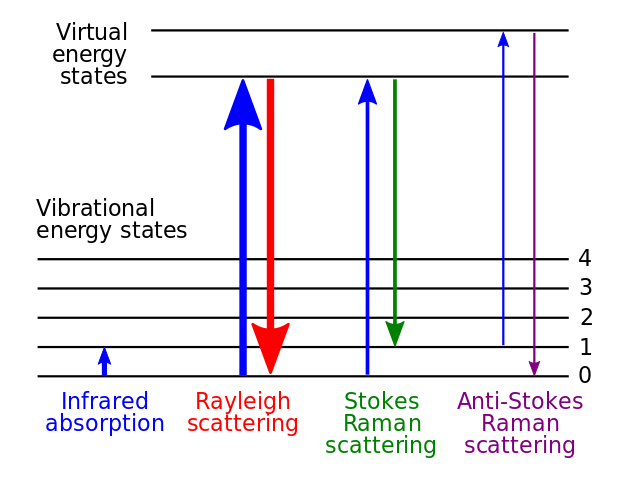 Energy transitions in Rayleigh and Raman scattering.