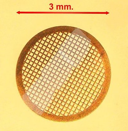 TEM sample grid.