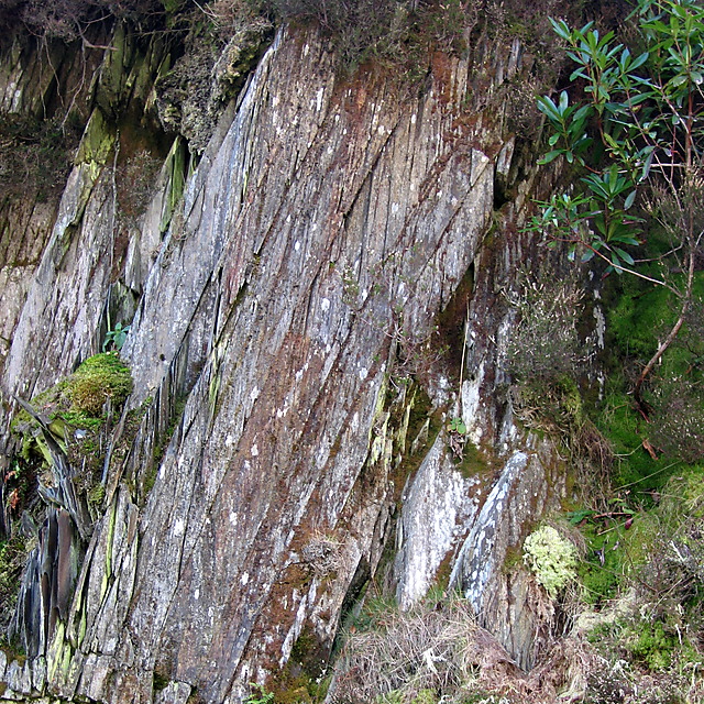 Bedding and cleavage in rock strata are an effect of grain orientation.