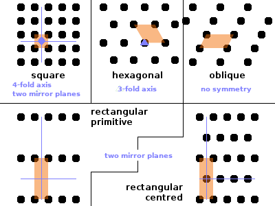 Bravais lattices in two dimensions and their symmetries.