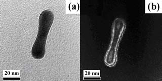 Bright and dark field TEM of gold nano-particles.