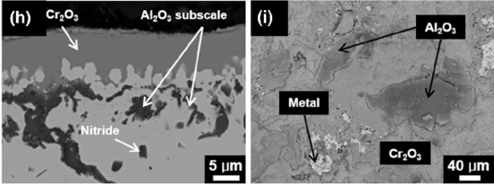 Backscattered electron SEM image of chemical variation in an alloy.