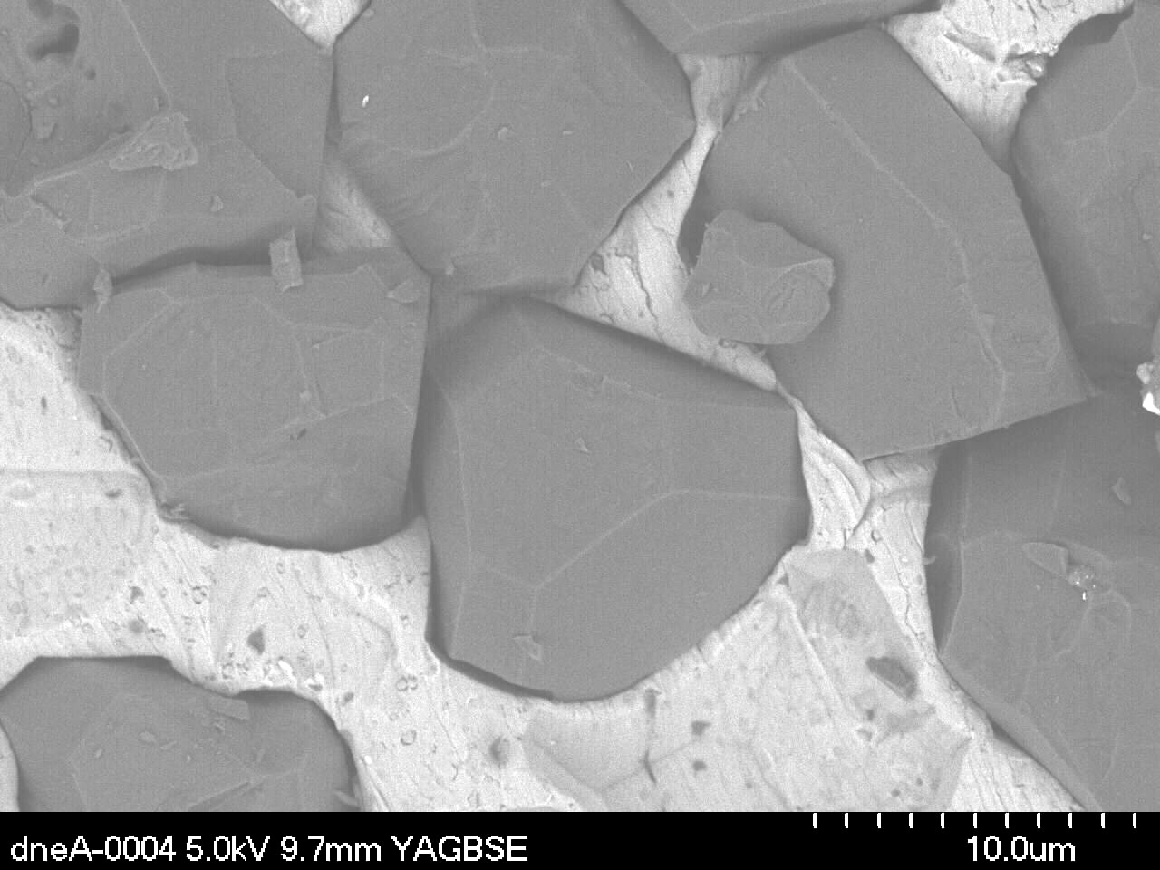 Backscattered electron SEM image of cubic boron nitride.