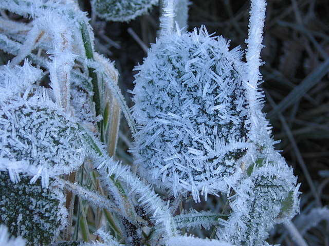 Ice crystals.