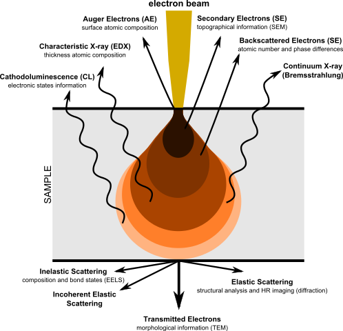 The range of interactions between an electron beam and a sample.