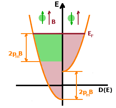 Magnetisation of a free electron gas.