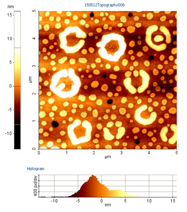 AFM image of diblock henges.