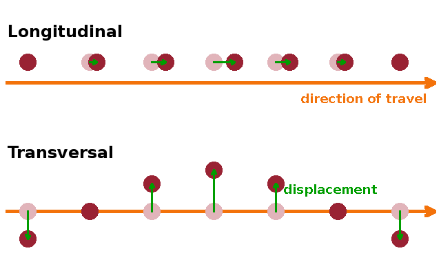 Longitudinal and transversal waves in a chain of beads.