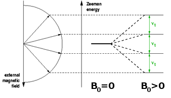 Zeeman splitting of nuclear spin states.