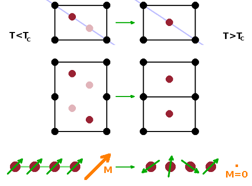 Different order parameters for different phase transitions.