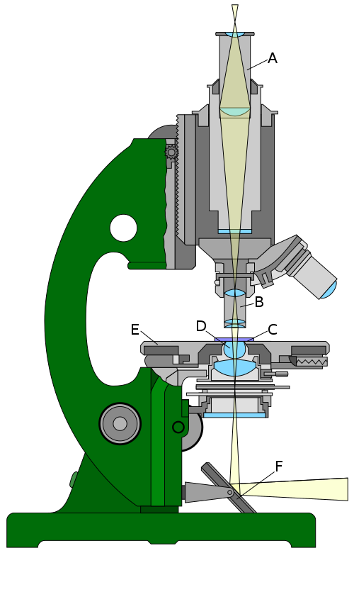 Optical microscope.