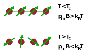 Para- and ferro-magnetic states.