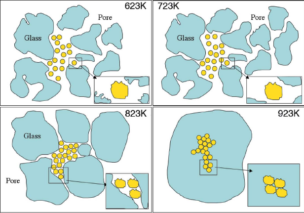 Model of the formation of a dense sol-gel ceramic by annealing based on SAXS data.