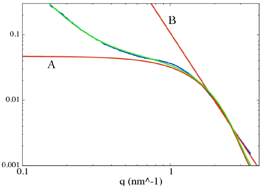 A radially averaged SAXS pattern with Guinier and Porod regimes.