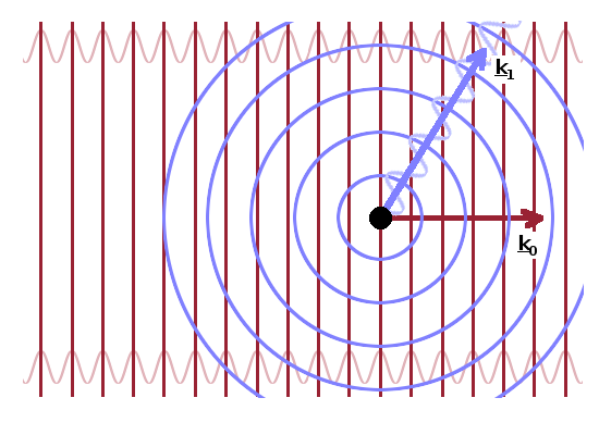 Waves involved in a scattering event.