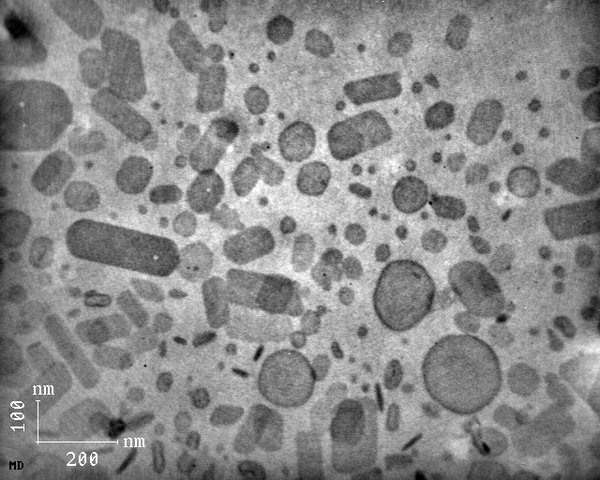 TEM of a colloid sample.