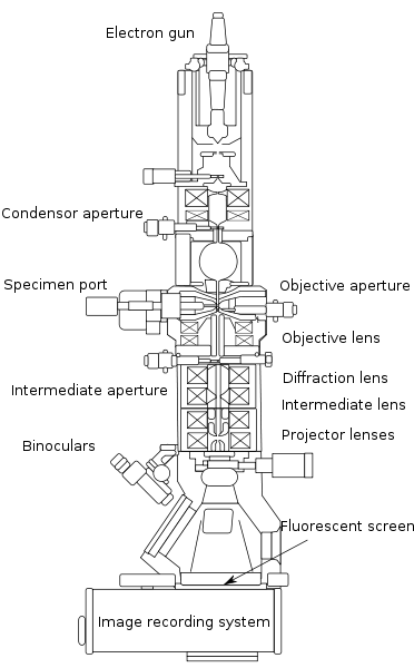 Transmission electron microscope.