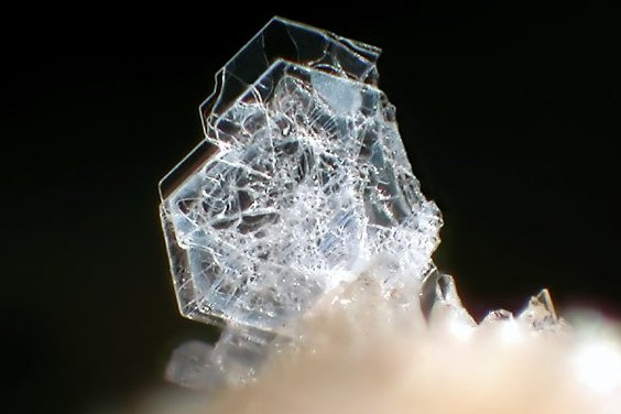 Photo of a tridymite crystal.