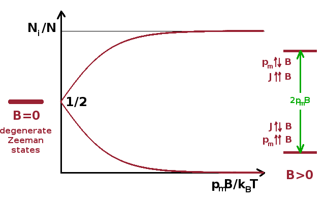 Splitting of Zeeman levels in a magnetic field.